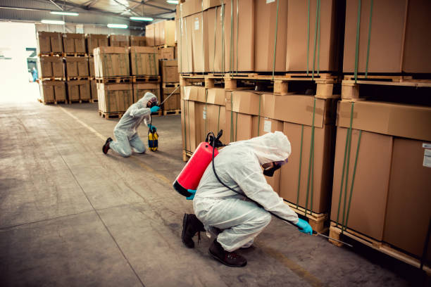 Best Pest Control for Homes  in Leesville, LA