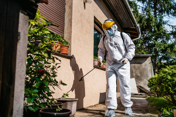 Best Bed Bug Extermination  in Leesville, LA