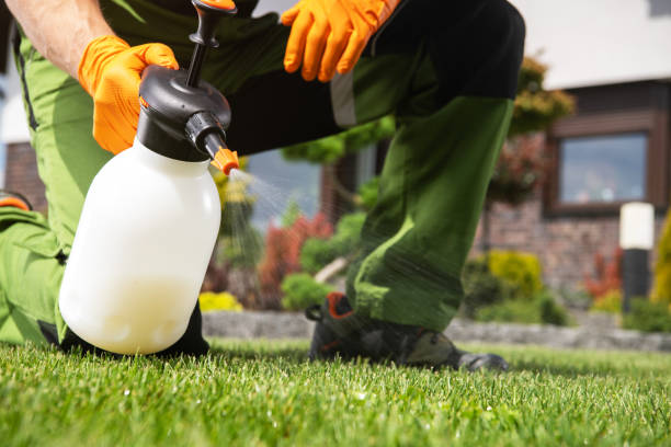 Best Affordable Pest Control Services  in Leesville, LA