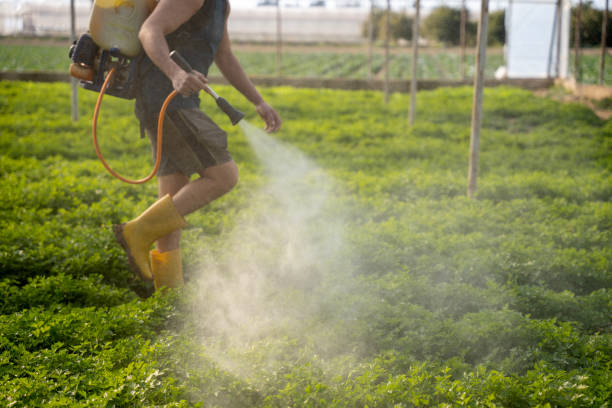 Pest Control for Restaurants in Leesville, LA