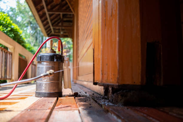 Best Termite Control Services  in Leesville, LA