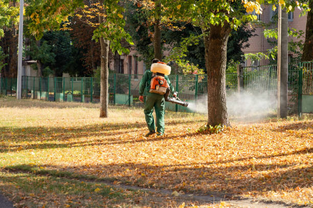 Best Wasp Removal Services  in Leesville, LA