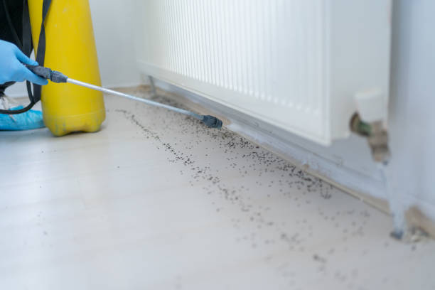 Best Pest Prevention Services  in Leesville, LA
