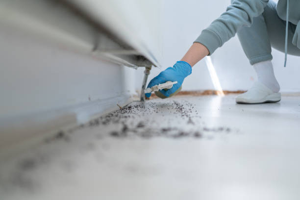 Best Best Pest Control Companies  in Leesville, LA